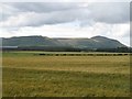 Barley, Woodmill