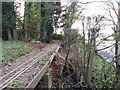 Miniature railway alongside track to Forest Farm