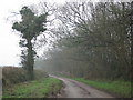 Road past Queenborough