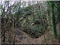 Rock face in Rosehill Quarry