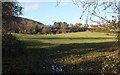 Field behind the Grove School