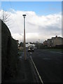 Lamppost in Spencer Road