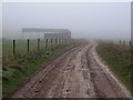 SU1140 : Barn in the fog, Normanton Down by Derek Harper