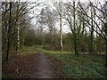 Cycle path near Pye Corner