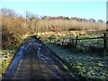 Track to Highdykes Farm