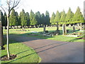 A Saturday lunchtime in December at Eastleigh Cemetery (1)