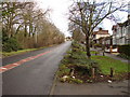 Looking up Shepherds Hill