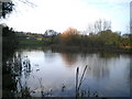 The central part of Haughton Pool