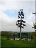 SJ4890 : Mobile phone mast disguised as an artificial tree by Colin Park