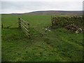 Pastures near March Ghyll Reservoir