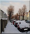 Bernard Road in the Snow