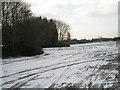 A snowy scene at Paulsgrove Park