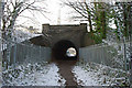 Footpath under the railway