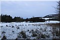 Lochore meadows golf course