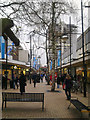 Trees and The Parade, Swindon