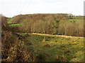SX6795 : Valley west of Spreyton by Derek Harper