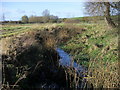 River Thame