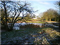 Field pond near The Wyke