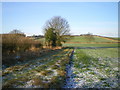 Field-side bridleway near Kemberton