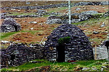 V3296 : Dingle Peninsula - Beehive huts along R559 by Joseph Mischyshyn