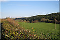 Field north-east of Torhill Cottages