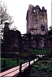 W6075 : Blarney Castle Grounds - footbridge and castle by Joseph Mischyshyn
