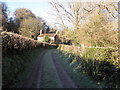 Track to farmhouse, near Burn Bridge, Bickleigh