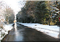 The Street through the village of Ketteringham