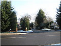 Looking across Petworth Road into the access road for Witley Tip