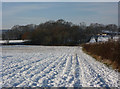 Field towards Elmswell New Hall