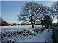 By the lane to Broadgrass Green and Woolpit