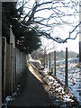 Path from Westfields to Witley Parish Church (2)