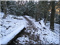 Footpath from Church Lane to Mare Hill (3)