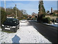 Snow on the verge in Cramhurst Lane