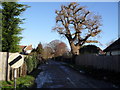 Looking northwards up Drift Lane