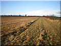 Fieldside bridleway, Caynton