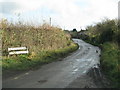 Road leaves Sutton Mallet