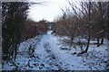 Snow covered path in Tonge Mill Countryside Park