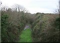 North Cornwall Railway cutting at Trekee