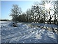 Snowy Sunday in Necton