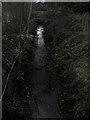 The overflow from the mill pond at the disused Ewart Liddell Weaving Factory, Donaghcloney.