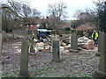 Tree felling in Epperstone churchyard