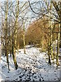 Permissive Bridleway to Rockrose