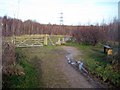 Lofthouse Colliery Nature Park Tour (14)