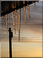 Sunrise through thawing icicles