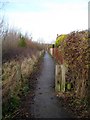 Lofthouse Colliery Nature Park Tour (31)