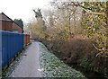 Path to Springfield Park from Chester Road