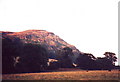 Hills above Blairlogie east of Stirling