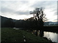 River Exe, looking south, seen from the Exe Valley Way between Bickleigh and Tiverton