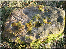 NH5756 : Cup marked stone at Mulchaich by Alastair Morton